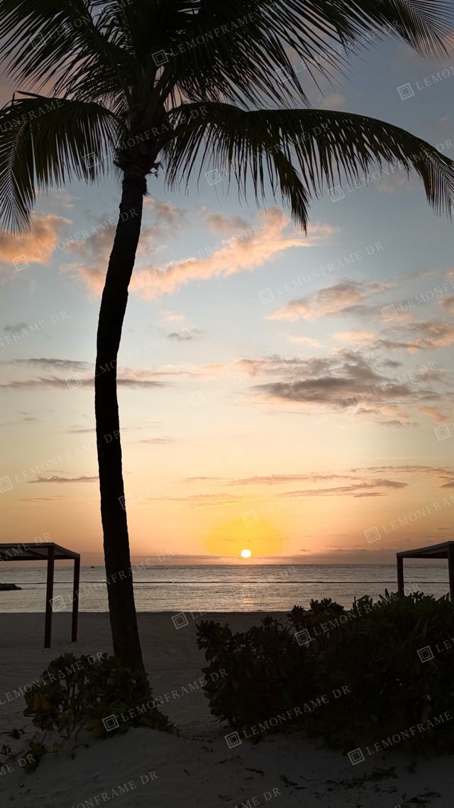 Palmera y pérgolas frente al mar al amanecer